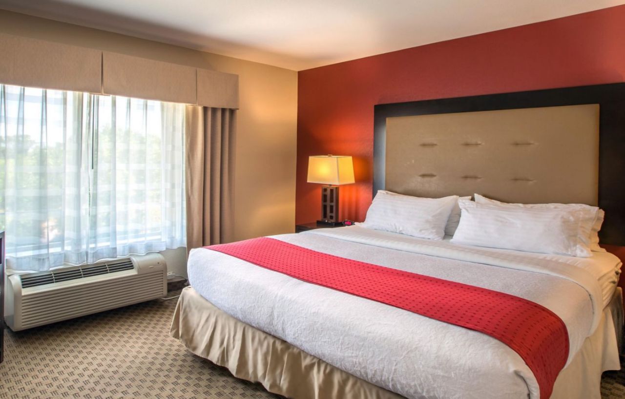 Hotel Holiday Airport By Ihg